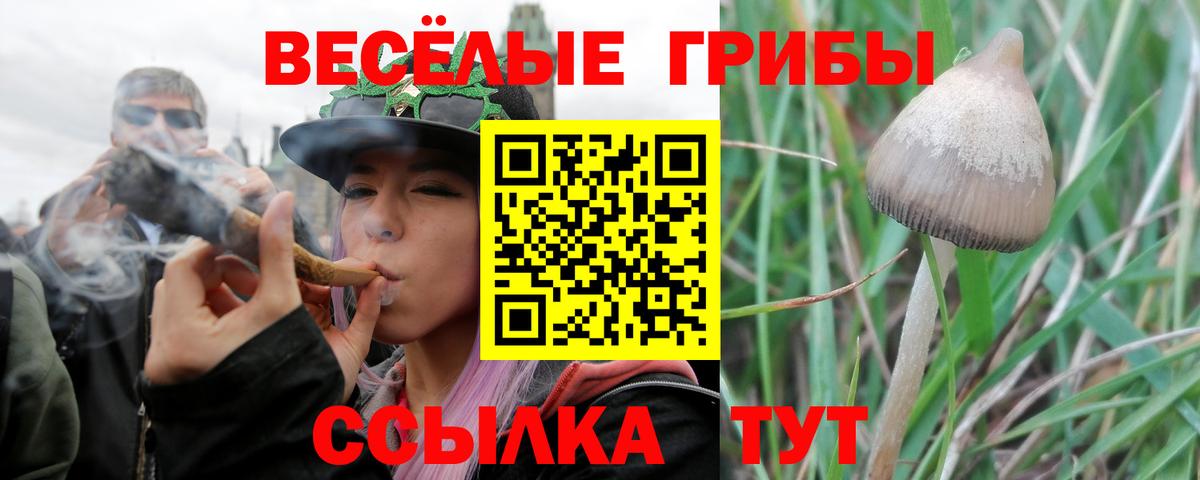 Псилоцибиновые грибы Cubensis  Галлюциногенные грибы мухоморы  Вход с VPN  как найти наркотики  Рославль 