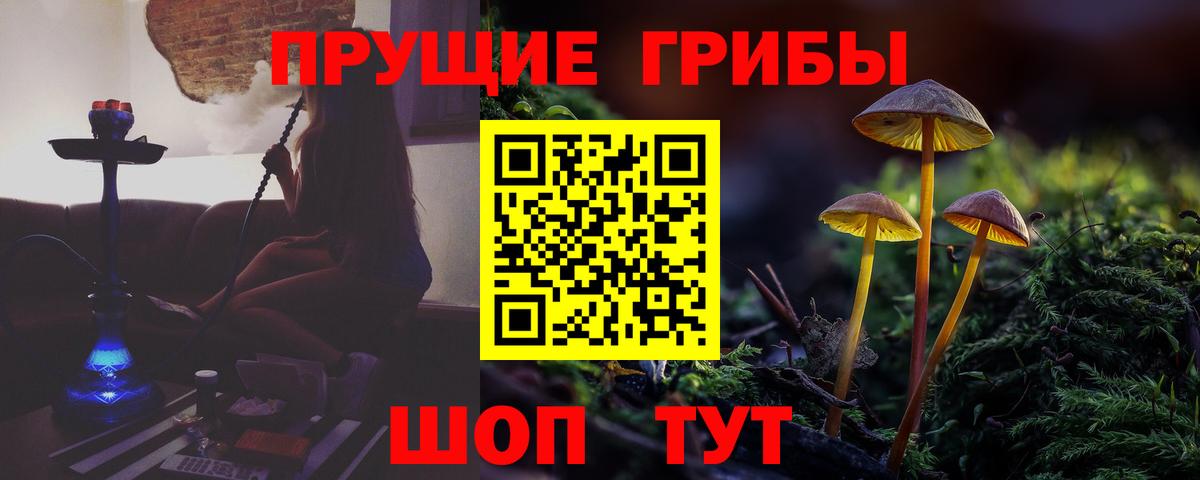 Псилоцибиновые грибы ЛСД Рославль
